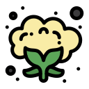 coliflor icon