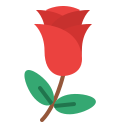 rosa icon