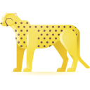 leopardo 