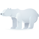 oso polar 