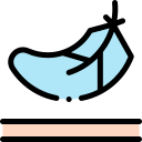 pluma icon