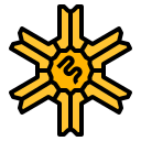 virus icon