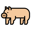 cerdo icon