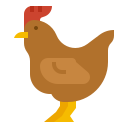 pollo icon