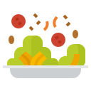 ensalada icon