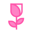 rosa icon