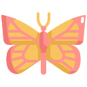 mariposa icon