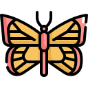 mariposa