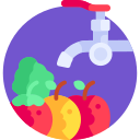 fruta icon