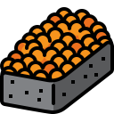 sushi icon