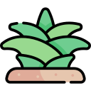 agave icon