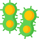 las bacterias icon