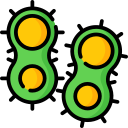 las bacterias icon