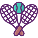 raqueta de tenis icon