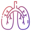 pulmão 