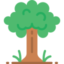 Árbol