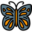 mariposa