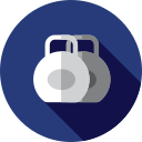 pesa icon