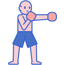 boxeo icon