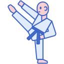 taekwondo icon