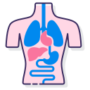 anatomía icon