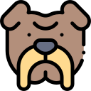 buldog icon