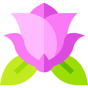 rosa icon