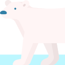 oso polar