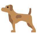 perro icon