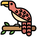 pájaro icon