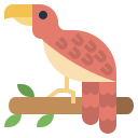 pájaro icon