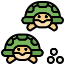 tortuga