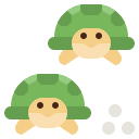 tortuga icon