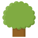 Árbol icon