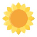 girasol icon