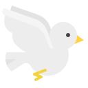 pájaro icon