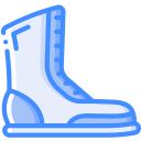 bota icon