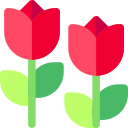 tulipanes