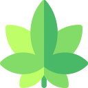 Marijuana 