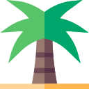 palmera