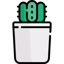 cactus icon