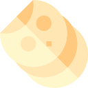 tortilla icon