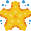 estrella de mar icon