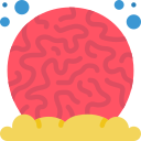 coral icon