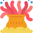 coral icon