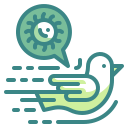 pájaro icon