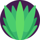 agave icon