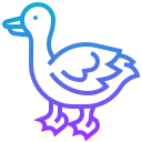 pato icon