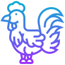 pollo icon