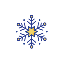 copo de nieve icon